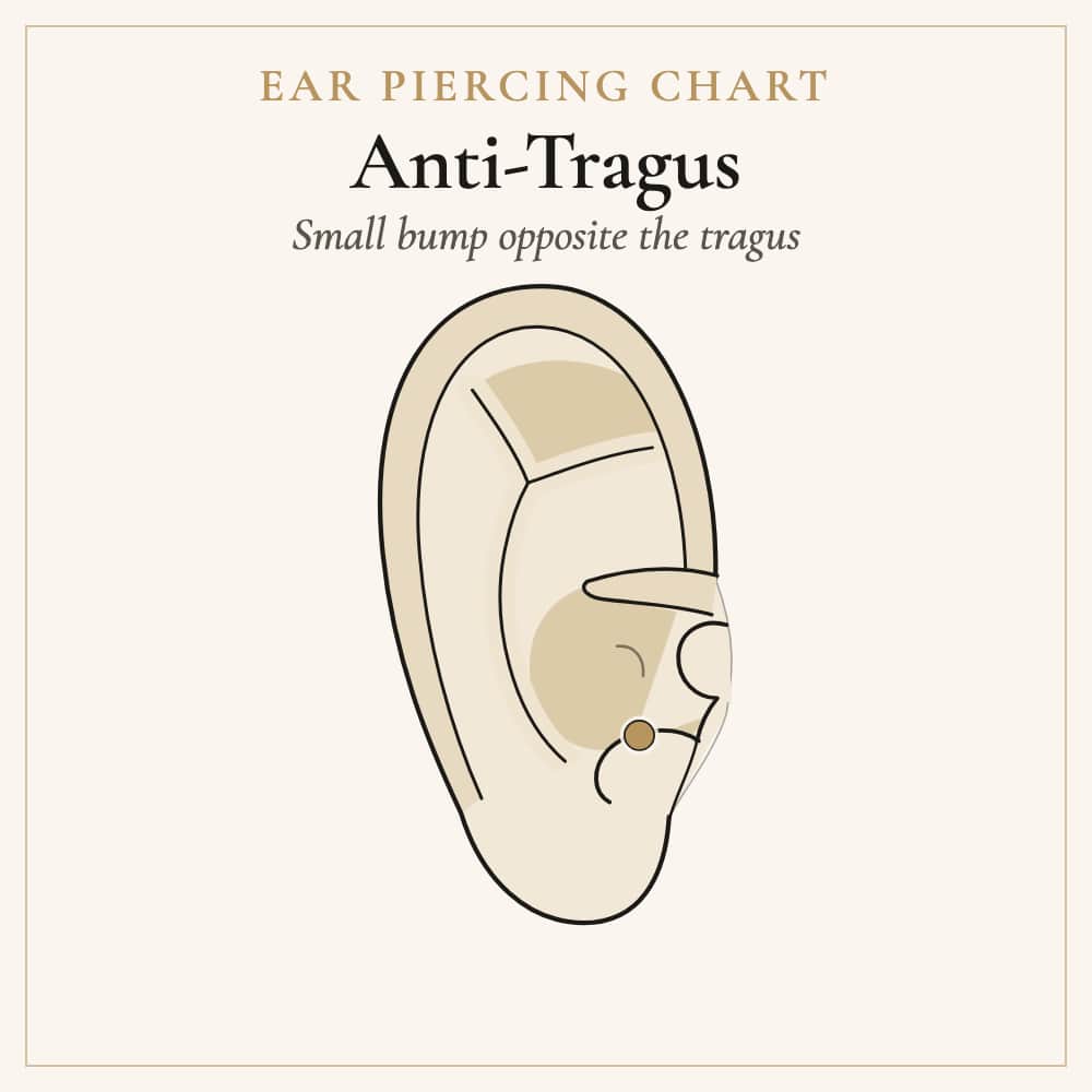 Anti-tragus piercing location on the small bump opposite the tragus