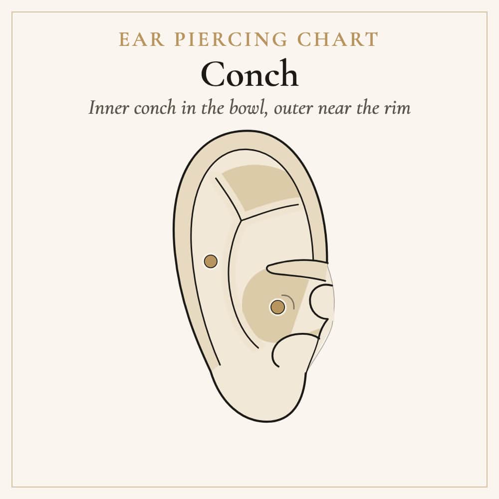 Conch piercing locations: inner and outer conch of the ear