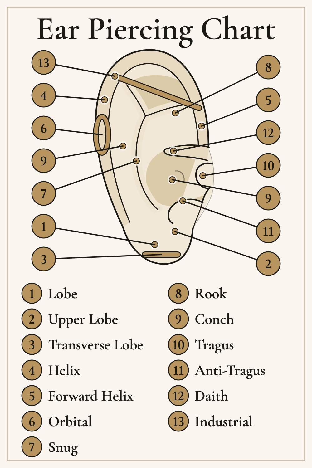 Ear piercing chart showing all 13 piercing types numbered on one ear