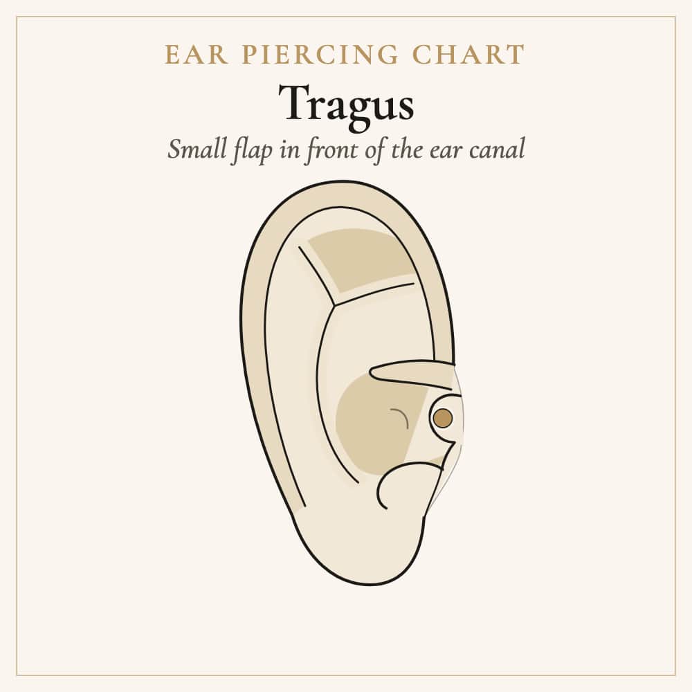 Tragus piercing location on the small flap in front of the ear canal